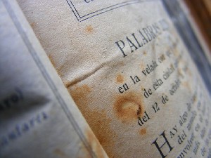 biblioteca 202 copy.jpg